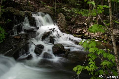 Une image contenant nature, arbre, eau, chute d�eau

Description g�n�r�e automatiquement