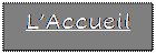 Zone de Texte: L�Accueil